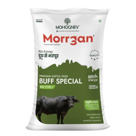 Morgan Buff