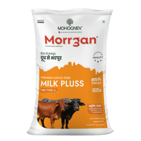 Morgan milkplus