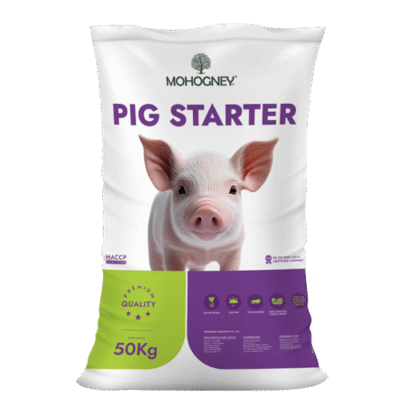 Pig starter