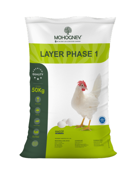 Layer Feed (Phase I, II & III)