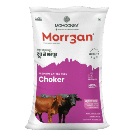 Morrgan Multigrain Choker