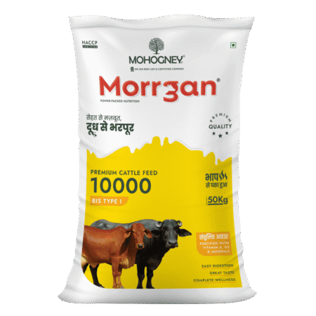 Morrgan 10000