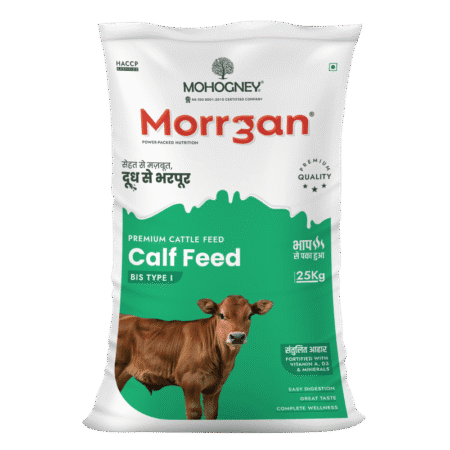 Morrgan Calf Feed