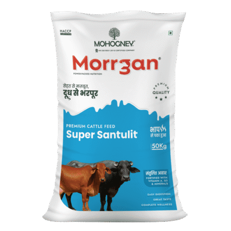 Morrgan Super Santulit